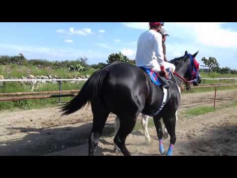 LA NEGRA NOCHE - AARON CHAVEZ