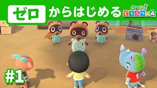 【リセット】2024年にゼロから始めるあつ森開拓#1【あつまれどうぶつの森】