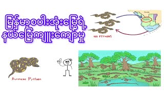 Download lagu ထိန်းချုပ်ရခက်ခဲသောမြန်မာ့စပါးအုံးမြွေများ mp3