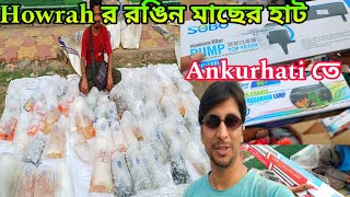 Ankurhati Fish Market | Ankurhati Howrah Pet Market | Aquarium Fish Haat Howrah | Pet Market Kolkata