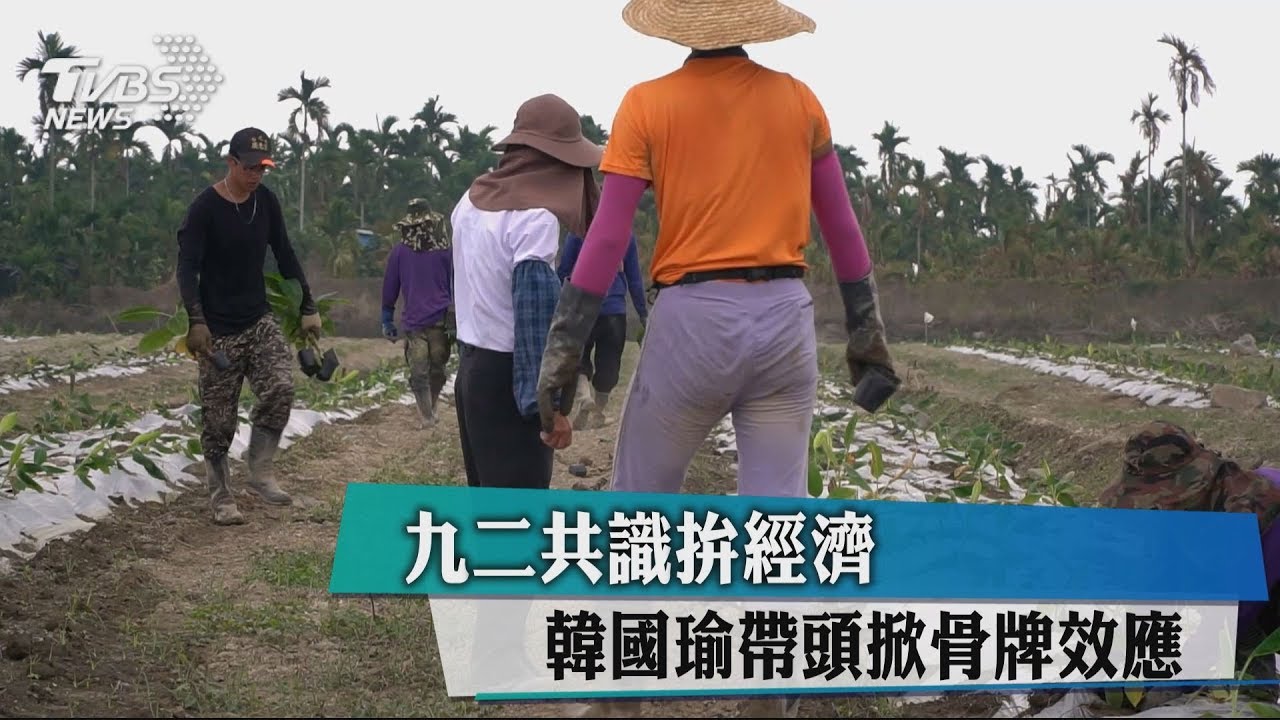 九二共識拚經濟　韓國瑜帶頭掀骨牌效應