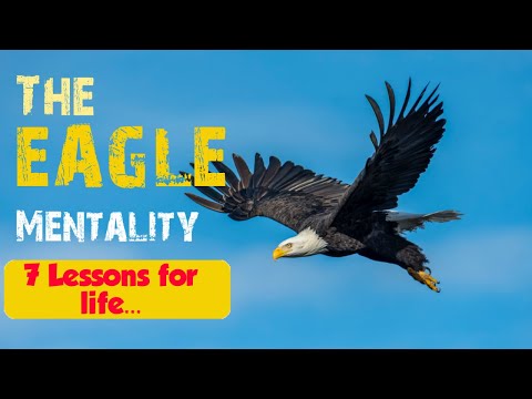 The Eagle Mentality✨Top 7 lessons for life✨Best Motivational Video