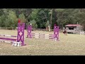 Super Ponette D de Concours 