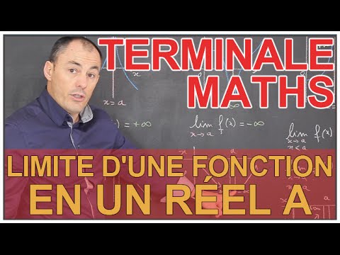 Limit of a function in a real number a - Maths Terminale - Les Bons Profs
