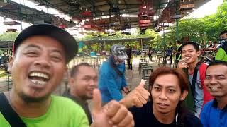 Download lagu Pring cagak radio gaaesss.....😂😂😂 mp3