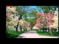 Balladina   Earl Klugh