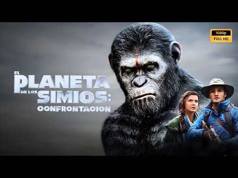 El planeta de los simios confrontación 2014 Pelicula completa en español explicada, reseña y hechos