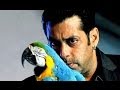Bigg Boss Will Soon Be Made Into A Film BT