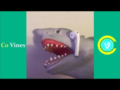 Try Not To Laugh Watching Shark Puppet Compilation 2019 (W/Titles) Funny Shark Puppet Videos