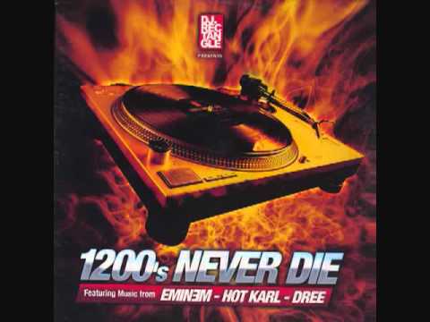 DJ Rectangle Feat. Eminem, Hot Karl, Dree - You Must Be Crazy