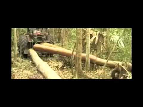 Rhythms del Mundo ft Sting 'Fragile'