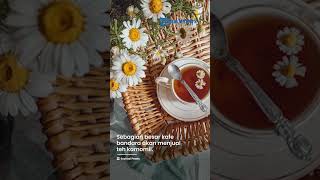 Minuman Paling Manjur yang Bisa Bikin Tidur Nyenyak Ketika di Pesawat