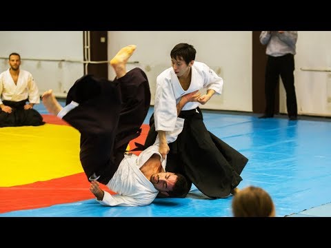 AIKIDO seminar Croatia 2017 - Shirakawa Ryuji sensei 合気道 白川竜次 先生