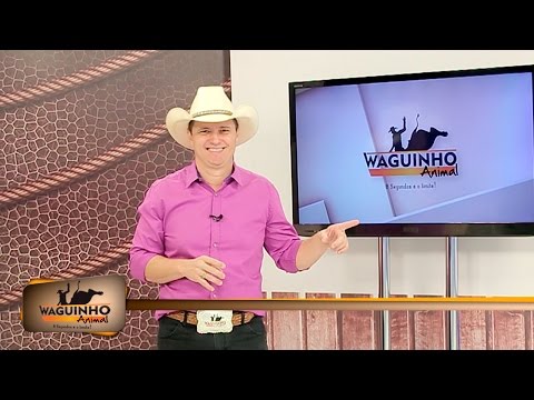 Waguinho Animal 07/05/16 na íntegra | Rodeio 46ª Facip Jales
