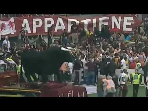 Sintesi Torino-Modena 2-0 con reazioni dei tifosi real audio