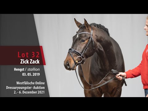 Online Dressuryoungster-Auktion Lot 32 Zick Zack Hengst v. Zoom - Finest