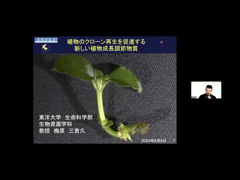  2024年2月に作付けするには、気候変動のため作物を再考する必要がある  庭園