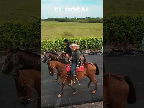 Vías para El Progreso en el Meta