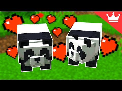 How to Breed Pandas in Minecraft (All Versions)