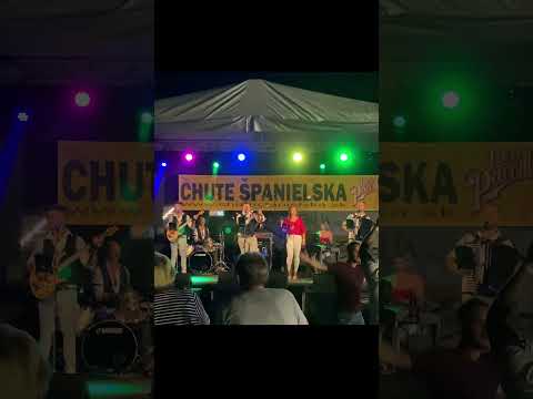 Kapela Huncúti - úryvok naživo - Načo pôjdem domov - cover Ľubo Virág #shorts