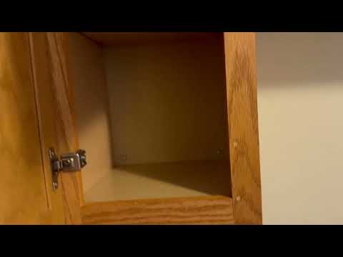 Kitchen Full of Cockroaches in Rumson, NJ