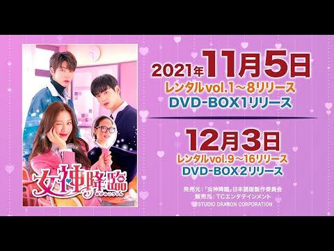 韓国ドラマ「女神降臨」公式予告