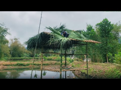 Finally, I finished building a leaf house after days of hard work