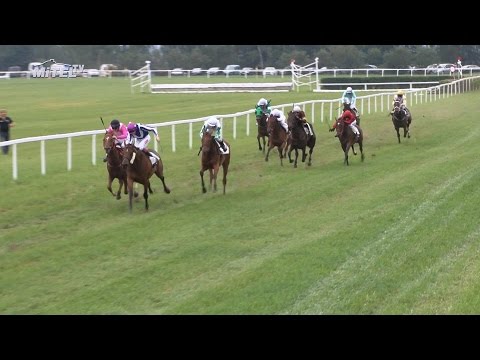 Dostihový den v Mimoni 3.9. 2016