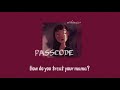 Passcode Jannine Weigel Lyrics