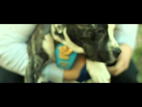 Deep Green & Kase - 'How We Living' (Official Video) #JointEnterprise