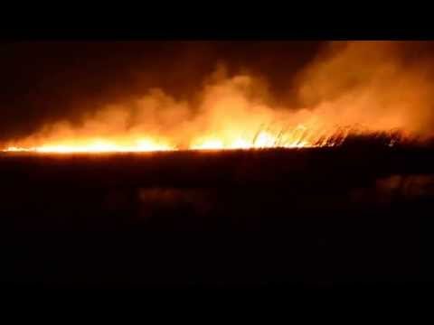 INCENDIU de proporţii în cartierul Plopi!