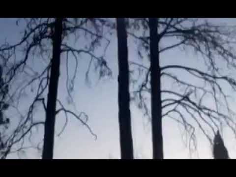 a nother perfect fall by josh shute