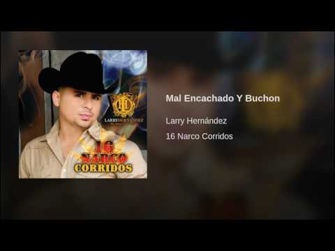 Larry Hernández - Mal Encachado Y Buchon 16 Narco Corridos