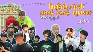 Download lagu The Strange Behavior of Stray Kids - Stray Kids funny moment sub indo mp3