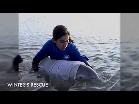 Winter's 15th Rescue Anniversary!