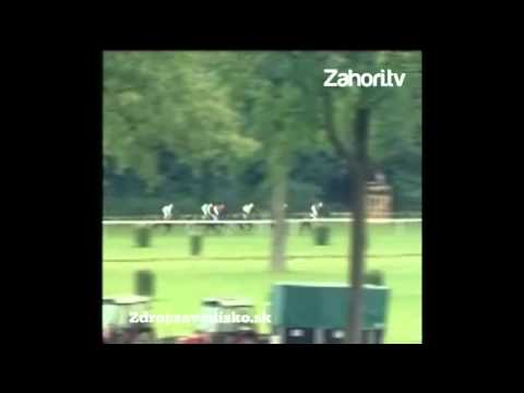 Dostihy: Atack vyhral Starohájske kritérium