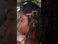 How To Do Mini Twists On Natural Hair Protective Style Minitwists Protectivestyles Naturalhair