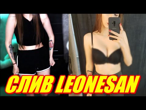 СЛИВ LEONESAN И НОИЛСА. Почему Братишкина забанили на Твиче