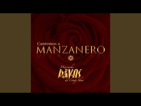 Nos Hizo Falta Tiempo