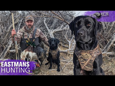 Hondo's First Hunt! Duck Hunting (@SouthernOakKennels)