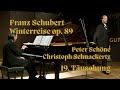 Franz Schubert Winterreise - 19. Täuschung