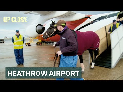 Behind Britain's Busiest International Airport | Heathrow Airport (S1) COMPILATION | Up Close