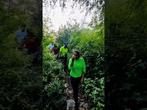 Hiking Day with Friends 💚