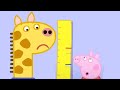 Peppa Pig Meets Gerald Giraffe Peppa Pig English Peppa Pig Full Episodes