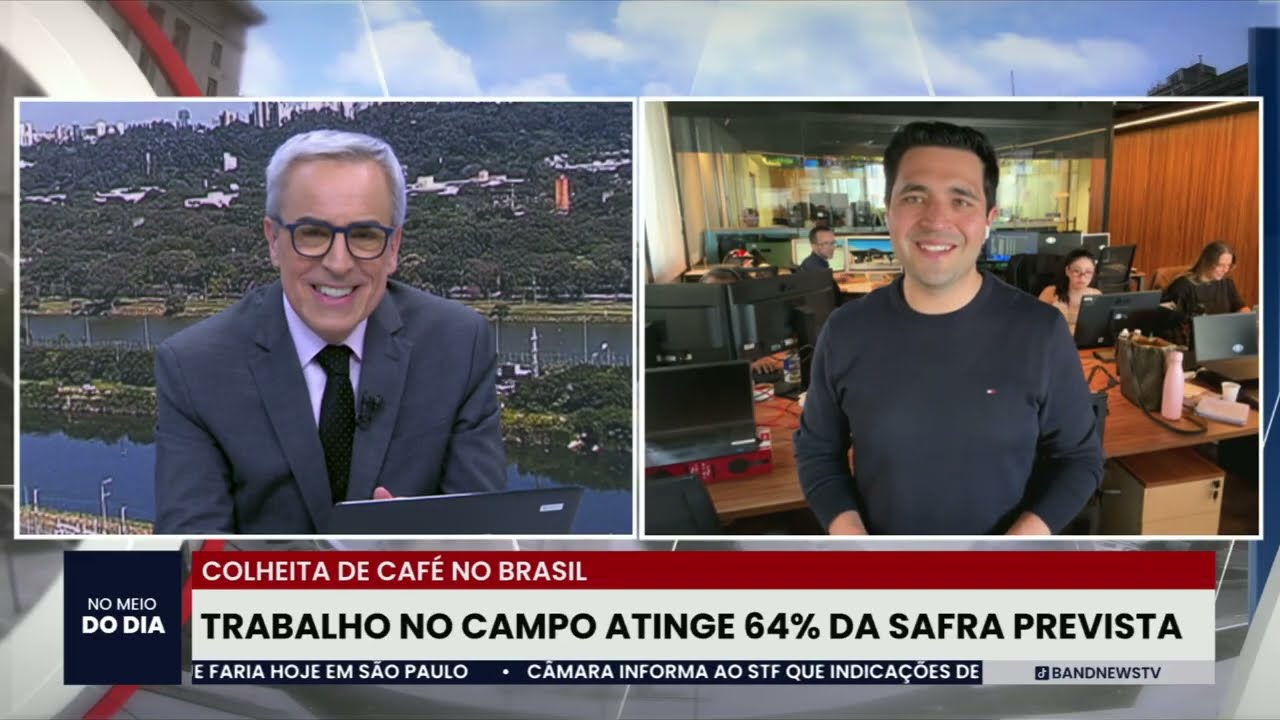 Colheita de café atinge 64% da safra prevista no país