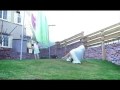 Canon LEGRIA HF20 TVC