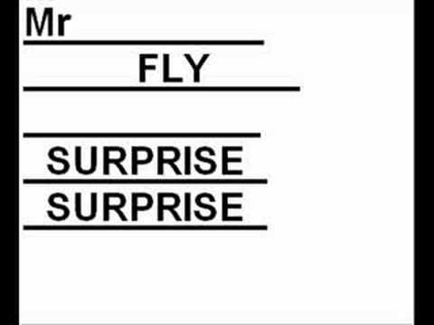 MR FLY