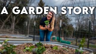 This Garden Did More Than We Imagined