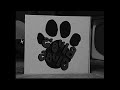 Not Real Blue S Clues Season 6 Lost Episode Credits Logos Only Remake