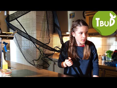 Pommes und Fritz (Folge 97) | Tiere bis unters Dach